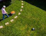 The Benefits of Organic Lawn Care for a Healthier, Greener Yard