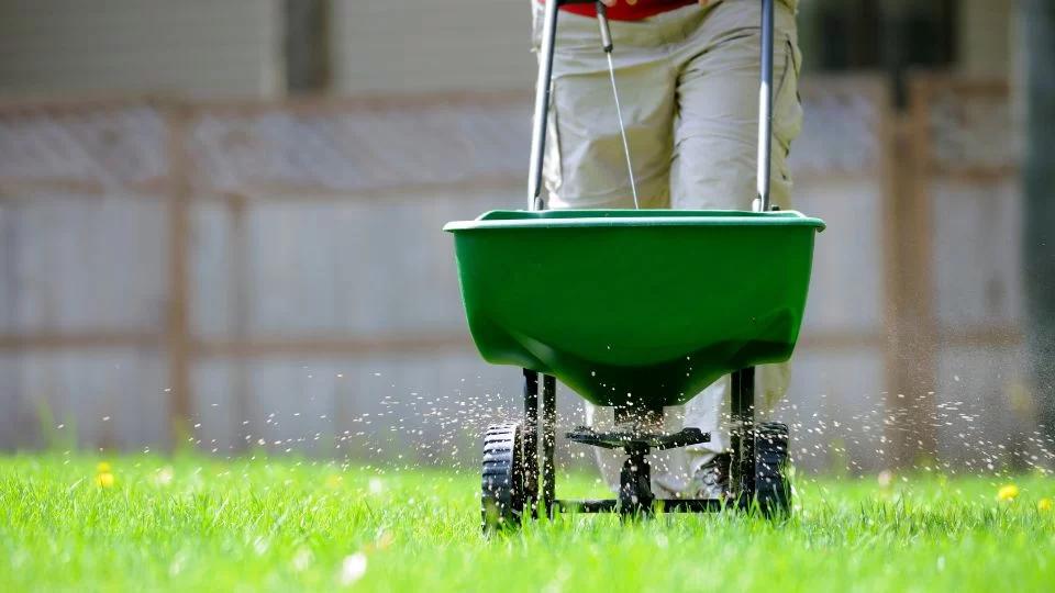 The Best Time to Apply Lawn Fertilizer for a Healthy, Vibrant Lawn