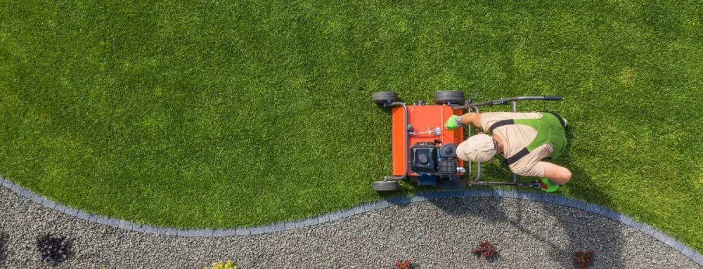 How to Keep Your Lawn Healthy Without Pesticides: Natural Lawn Care Tips for a Vibrant Yard