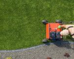 How to Keep Your Lawn Healthy Without Pesticides: Natural Lawn Care Tips for a Vibrant Yard