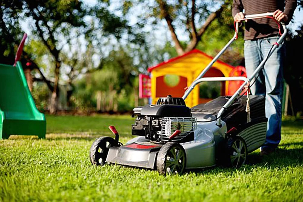 Practical DIY Lawn Care Tips Every Homeowner Should Know