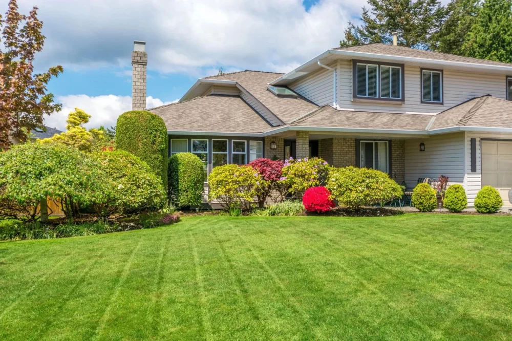 Expert Lawn Care Advice for Business Properties to Enhance Curb Appeal and Professionalism