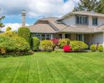 Expert Lawn Care Advice for Business Properties to Enhance Curb Appeal and Professionalism