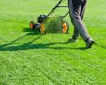 Enhancing Your Home’s Beauty Through the Importance of Lawn Care