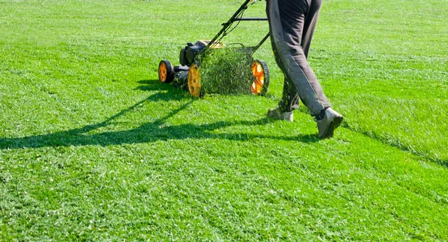 The Importance of Lawn Care for Neighborhood Pride