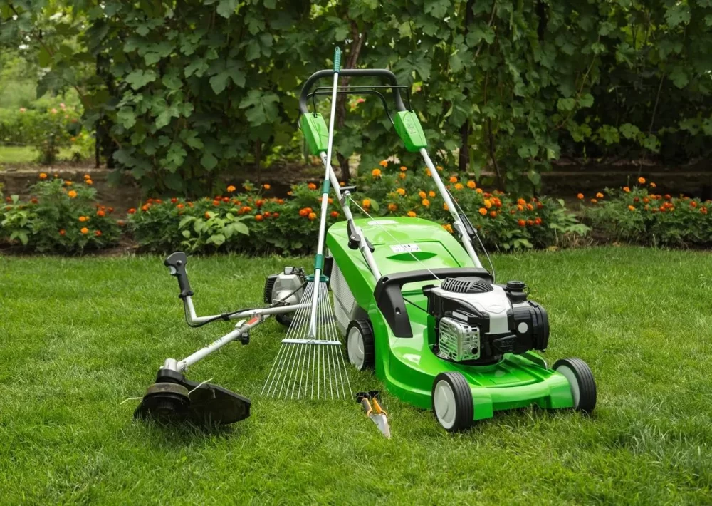 Essential Tools Every Homeowner Needs for Lawn Care