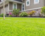 How to Prepare Your Lawn for the Rainy Season: Expert Tips for Healthy Grass