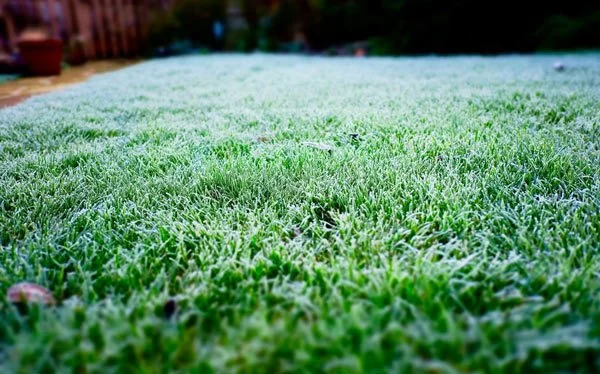 How to Prepare Your Lawn for Winter: Essential Tips for a Healthy Lawn