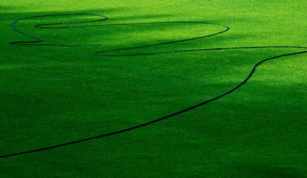 Effective Ways to Prevent Lawn Runoff During Heavy Rainfall