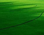 Effective Ways to Prevent Lawn Runoff During Heavy Rainfall