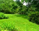 How to Keep Your Lawn Healthy Without Pesticides: A Guide to Eco-Friendly Lawn Care