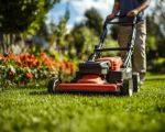 Effective Strategies for Managing Lawn Care During Seasonal Changes