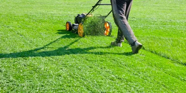 Why Lawn Care is Vital for Sustainable Living and Eco-Friendly Practices