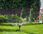 How to Create an Effective Water-Efficient Lawn Care Plan for a Greener Yard