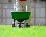Essential Lawn Care Tips for Balancing Aesthetics and Function