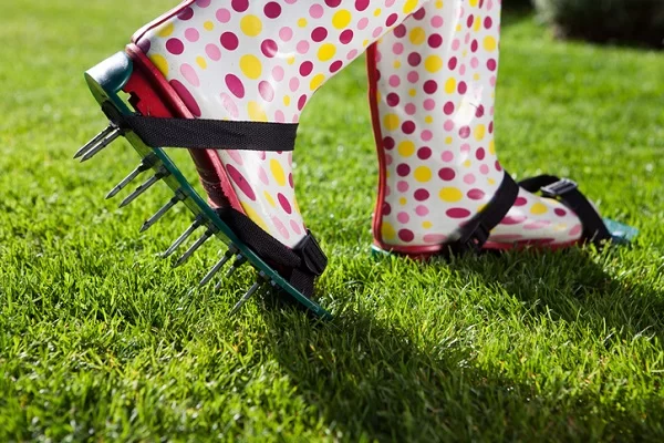 How to Maintain a Beautiful Lawn Without Harming the Environment