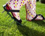 How to Maintain a Beautiful Lawn Without Harming the Environment