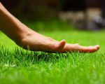 Best Organic Lawn Care Treatments for Maintaining Healthy Grass