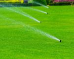How to Water Your Lawn Properly for a Healthy, Green Yard