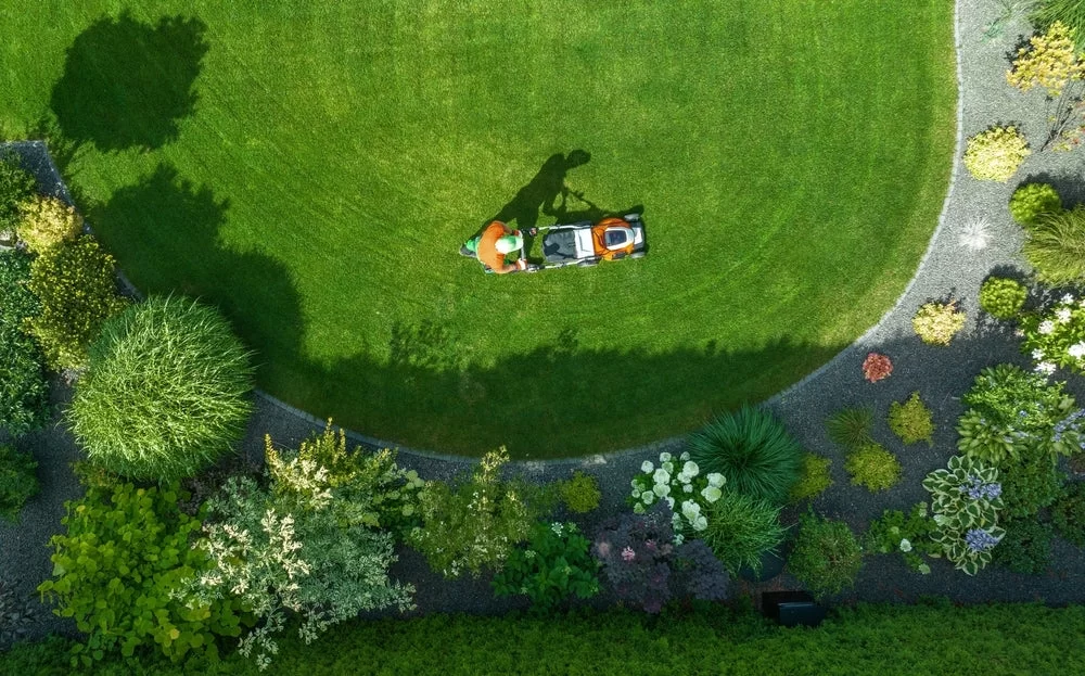 Effective Ways to Adopt Sustainable Lawn Care Practices for a Healthier Lawn