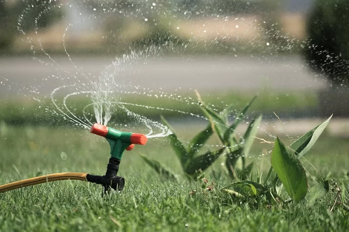 Effective Ways to Reduce Water Consumption for Lawn Maintenance