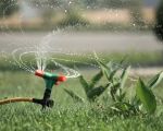 Effective Ways to Reduce Water Consumption for Lawn Maintenance
