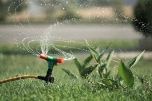 Effective Ways to Reduce Water Consumption for Lawn Maintenance