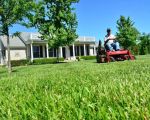 Top Advantages of Hiring Professional Lawn Care Services for a Healthy Yard