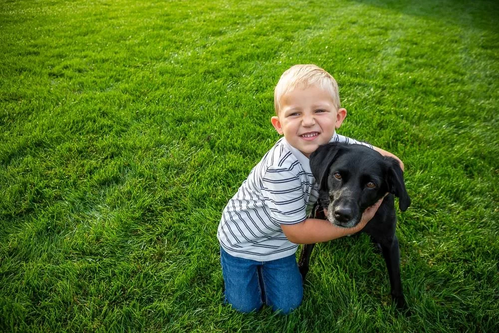 How to Ensure Your Lawn is Pet-Friendly for a Safe Outdoor Space