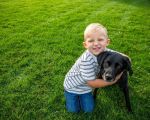 How to Ensure Your Lawn is Pet-Friendly for a Safe Outdoor Space