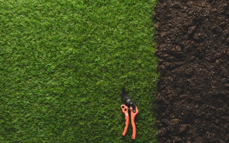 How to Make Your Lawn More Eco-Friendly with Sustainable Practices