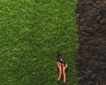 How to Make Your Lawn More Eco-Friendly with Sustainable Practices