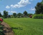 Essential Summer Lawn Care Tips for a Healthy, Vibrant Yard