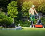 Effective Lawn Care Solutions for Different Types of Grass