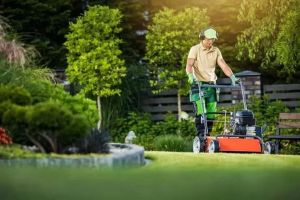 Effective Lawn Care Solutions for Different Types of Grass