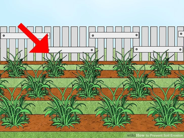 Effective Ways to Prevent Soil Erosion Through Lawn Care Practices
