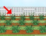 Effective Ways to Prevent Soil Erosion Through Lawn Care Practices