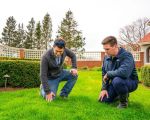 Effective Tips for Lawn Care in Urban Areas: Achieve a Healthy Green Lawn