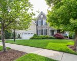 How to Maintain a Beautiful Lawn Without Harming the Environment