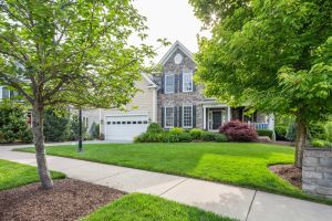 How to Maintain a Beautiful Lawn Without Harming the Environment