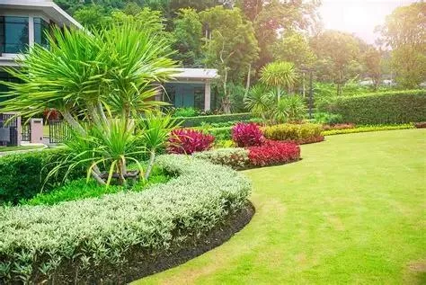 How to Ensure a Healthy Lawn After a Drought: Expert Tips and Care