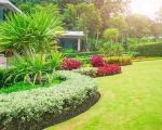 How to Ensure a Healthy Lawn After a Drought: Expert Tips and Care