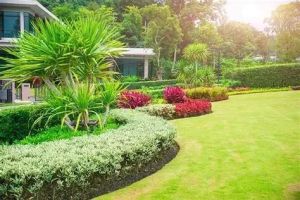 How to Ensure a Healthy Lawn After a Drought: Expert Tips and Care