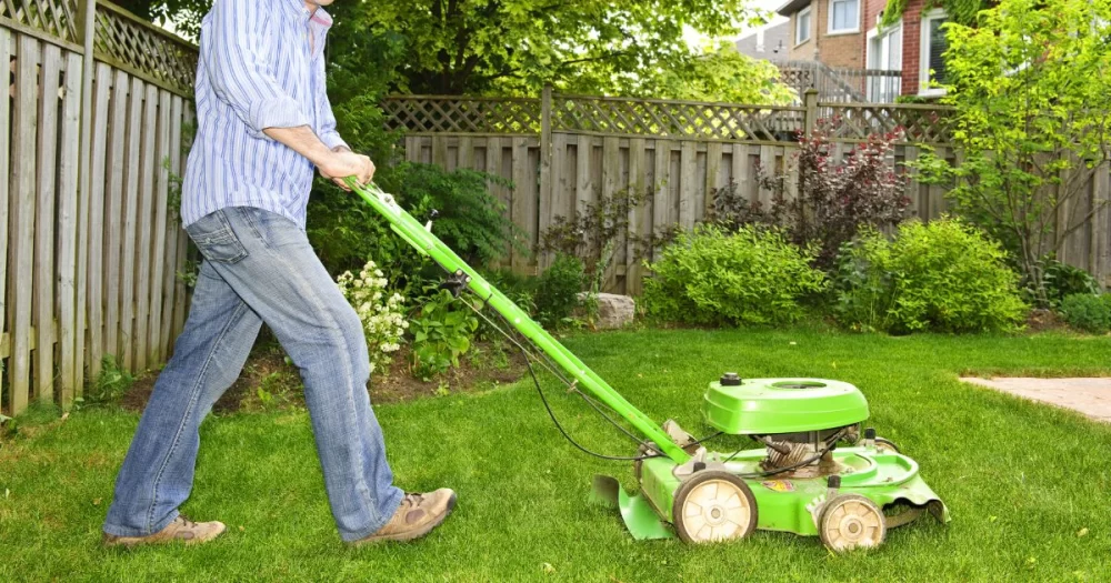 Lawn Care Services That Add Value to Your Home: Expert Tips and Benefits