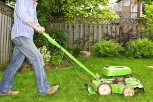 Lawn Care Services That Add Value to Your Home: Expert Tips and Benefits